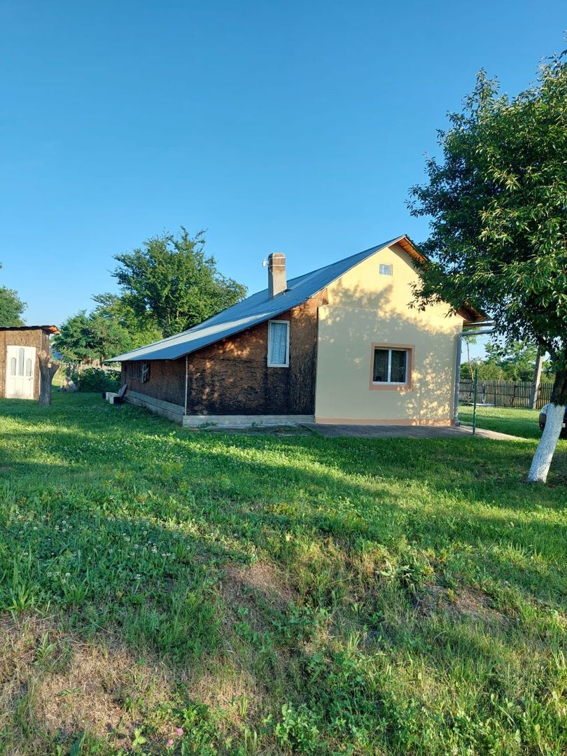Vanzare casa deosebita, Suseni, Arges - Poză 10