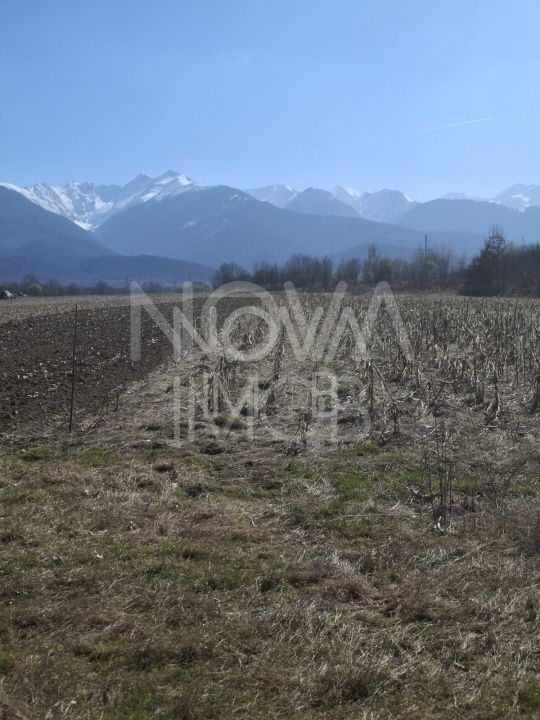 Teren extravilan de vanzare - Arpasul de Sus - Poză 3