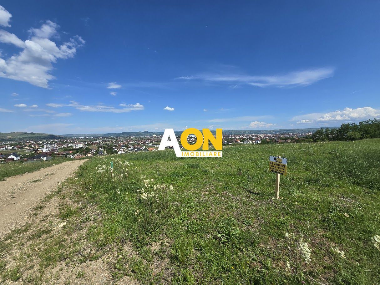 Teren Superb! 710mp Toate Utilitatile, Zona Cetate - Poză 5