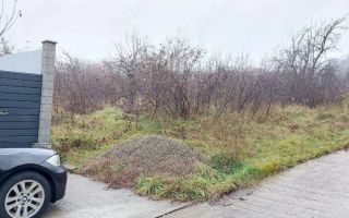 Teren Bucium, 3 minute de Hanul 3 sarmale, la Soseaua Barnova - # - Poză 4