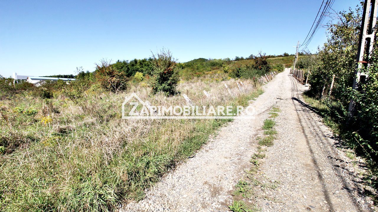 Teren intravilan 16.500mp 55euro mp deschidere de 82m la E60 - Poză 3