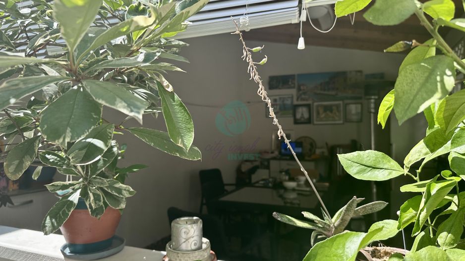 Casa renovata in zona Vatra Luminoasa - Poză 11