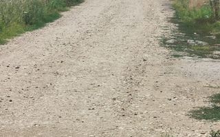 TEREN 4000 M CRISUL REPEDE - Poză 3