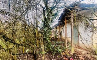 Casă cu teren de 1.463 mp în Ghizela, Timiș – Comision 0% - Poză 3