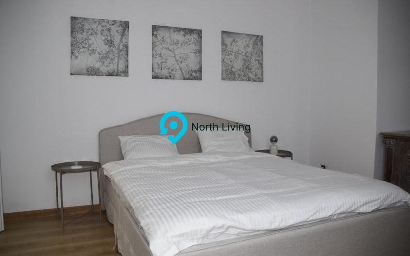 Casa superba - zona Mihai Eminescu - Mobilata Utilata - Poză 14