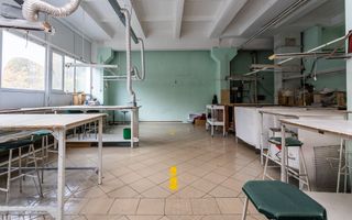 Chirie, spațiu industrial, 3000 mp, str. Sprîncenoaia, Centru - Poză 16