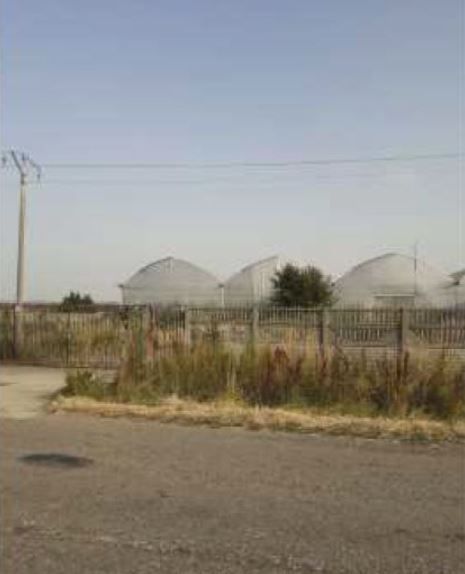 spatiu industrial Uivar Timis - Poză 5