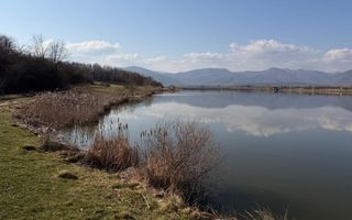 Teren EXTRAVILAN de vânzare în Săcel - Poză 4