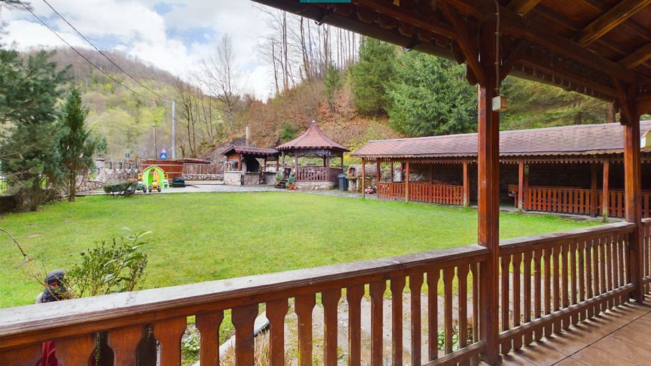 Pensiune în stațiunea Moneasa - Poză 3