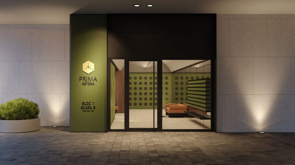 Studio Prima Astera Drumul Taberei - Poză 26