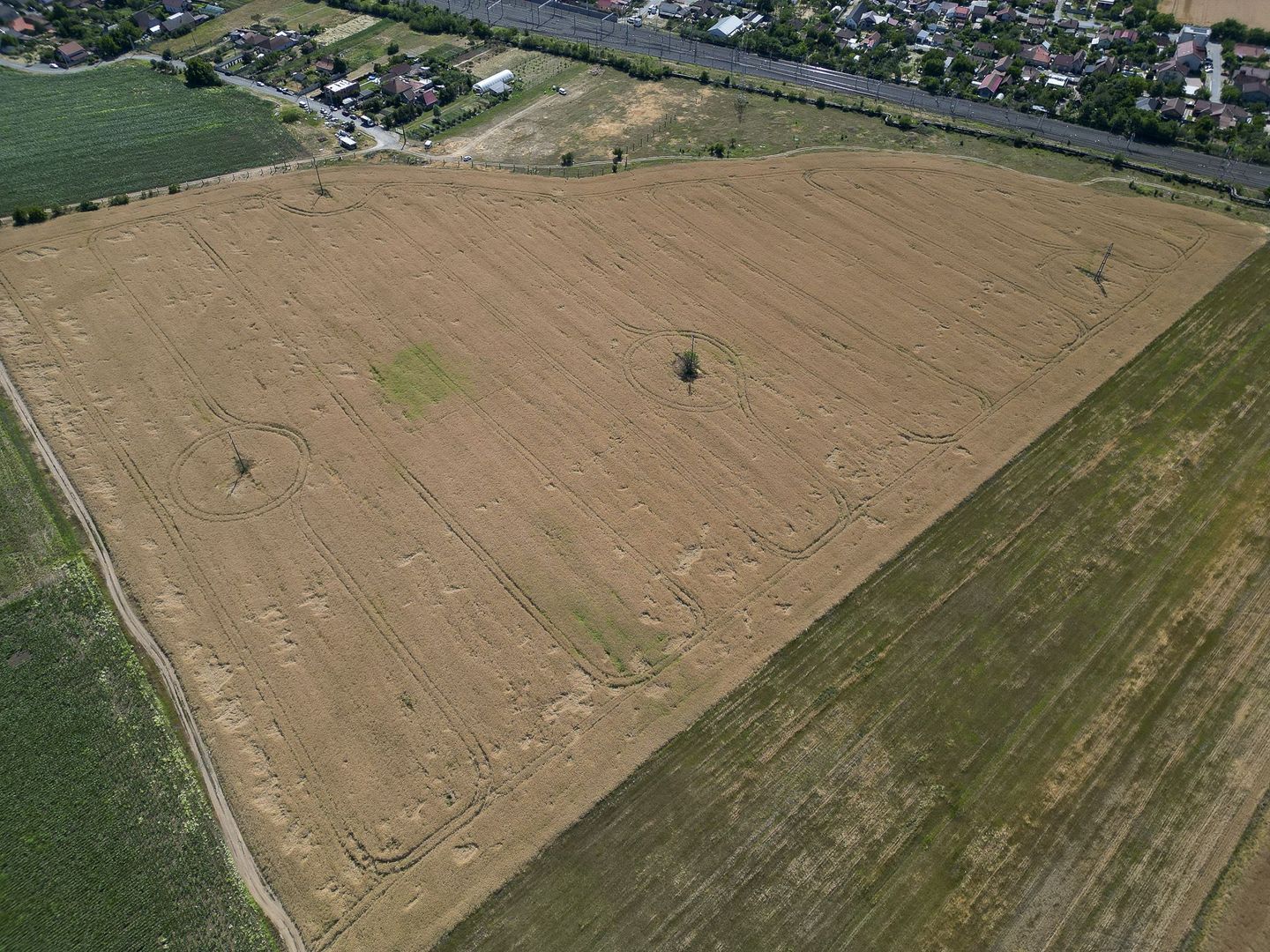 Tern intrevilan 4003 mp - Poză 12