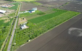 Livadă de nuci și pruni 2.4ha în Variașul Mare - Poză 16