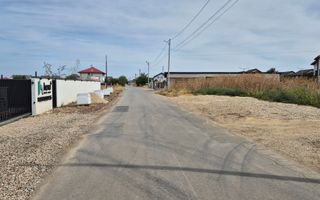 Teren intravilan 16.248 mp - Domnesti - Poză 2