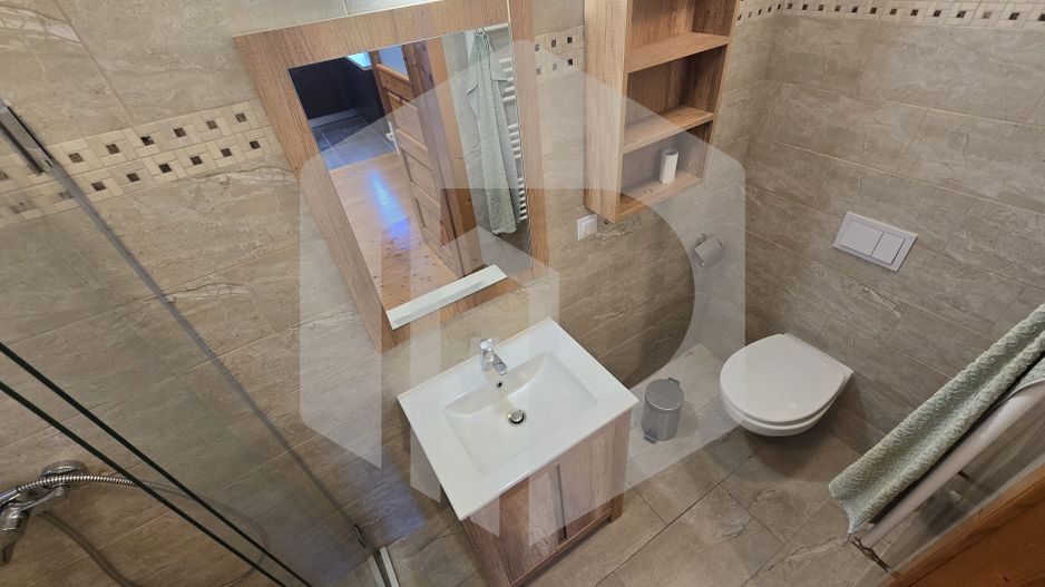 Casa individuala 4 camere teren 3825 mp Cisnadioara - Poză 24