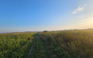 Teren intravilan, 1476 mp, Zona Ungheni - Poză 3