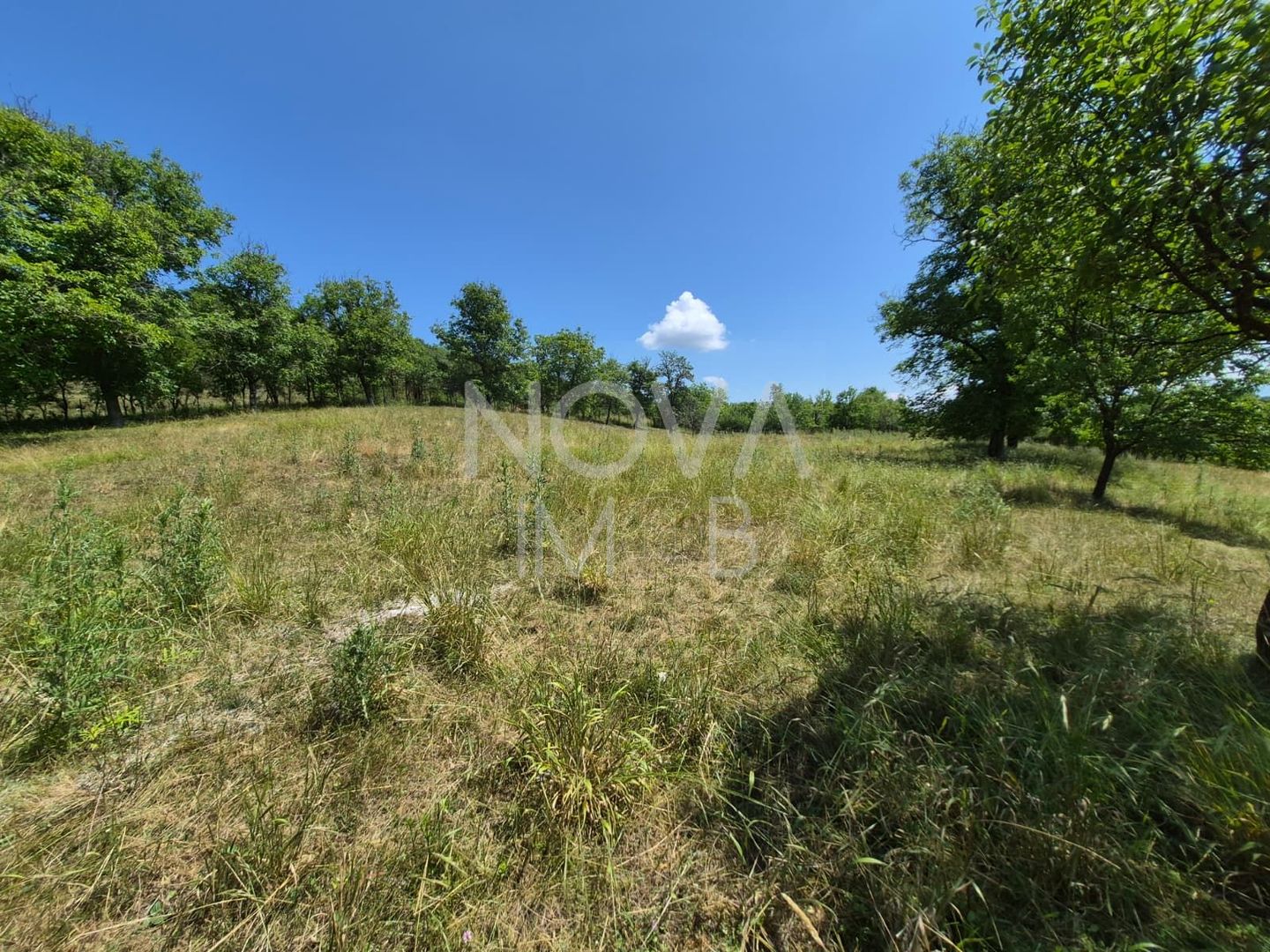 Casa individuala cu teren generos – 8.356 mp – Tichindeal, jud. Sibiu - Poză 43