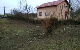Teren de vanzare in Provita de jos - Poză 11
