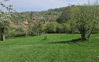 Langa emblematicul Castelul Bran, in areal colinar, 5.700mp intravilan - Poză 16