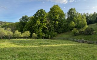 Teren de vânzare în Cugir - Poză 1