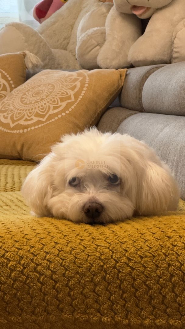 2C Decomandat - 50mp | Metrou Lujerului | Reabilitat | Et Intermediar - Poză 16