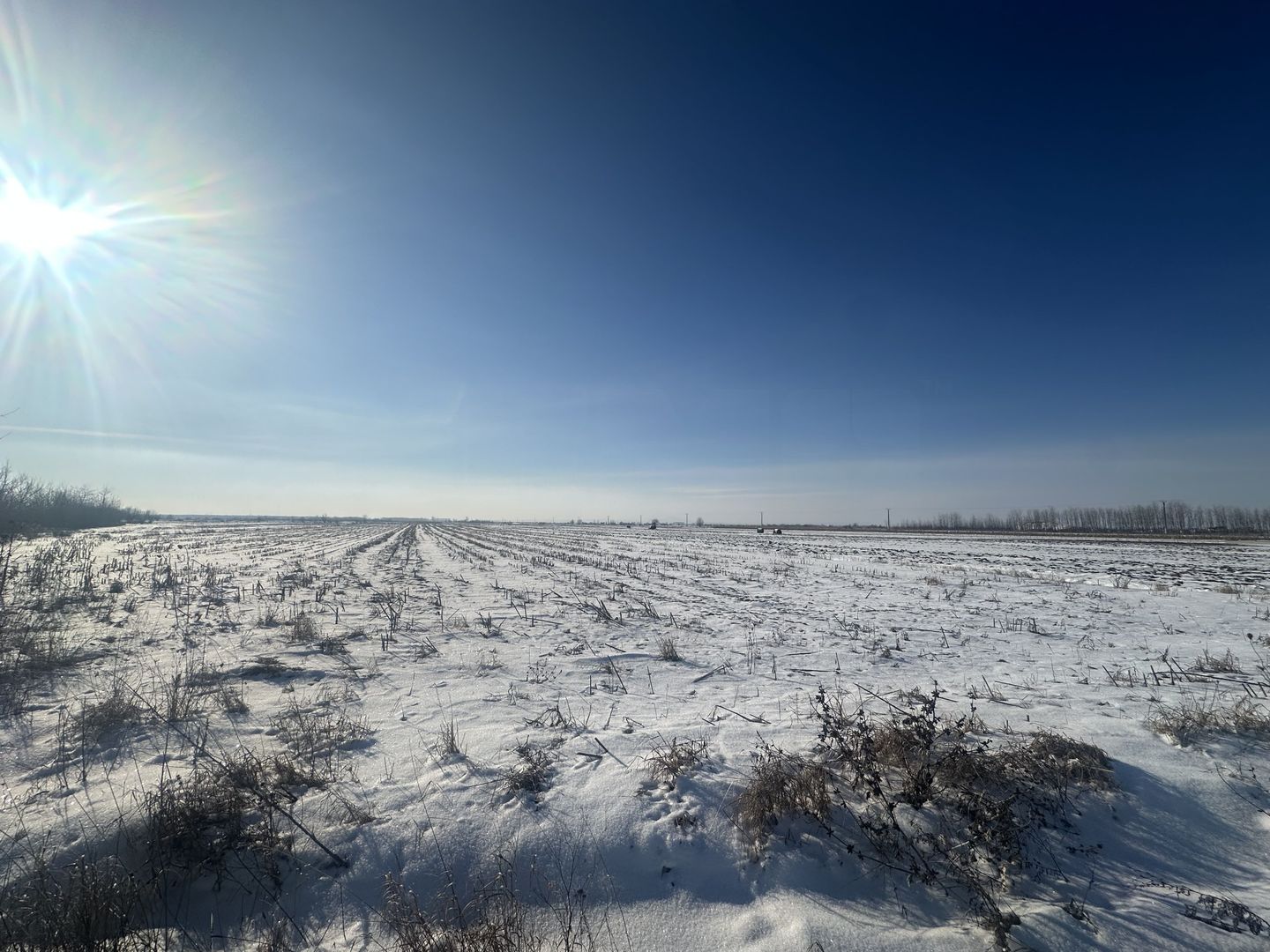 Teren Extravilan | 52 ari | Maneuti | Front 26 m | 55.500 € - Poză 10