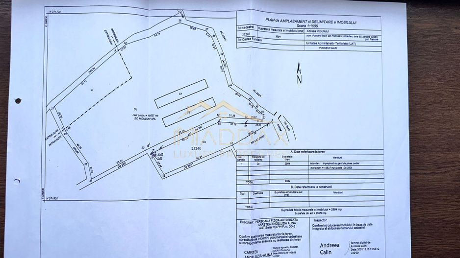 Teren De Vanzare | Puchenii Mari | Pietrosani - Poză 2