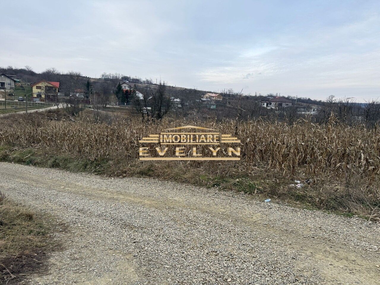 Teren intravilan de vânzare – Mănăstirea Doamnei - Poză 2