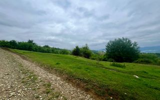 Teren 3507 mp/ Seaca/Calimanesti - Poză 4