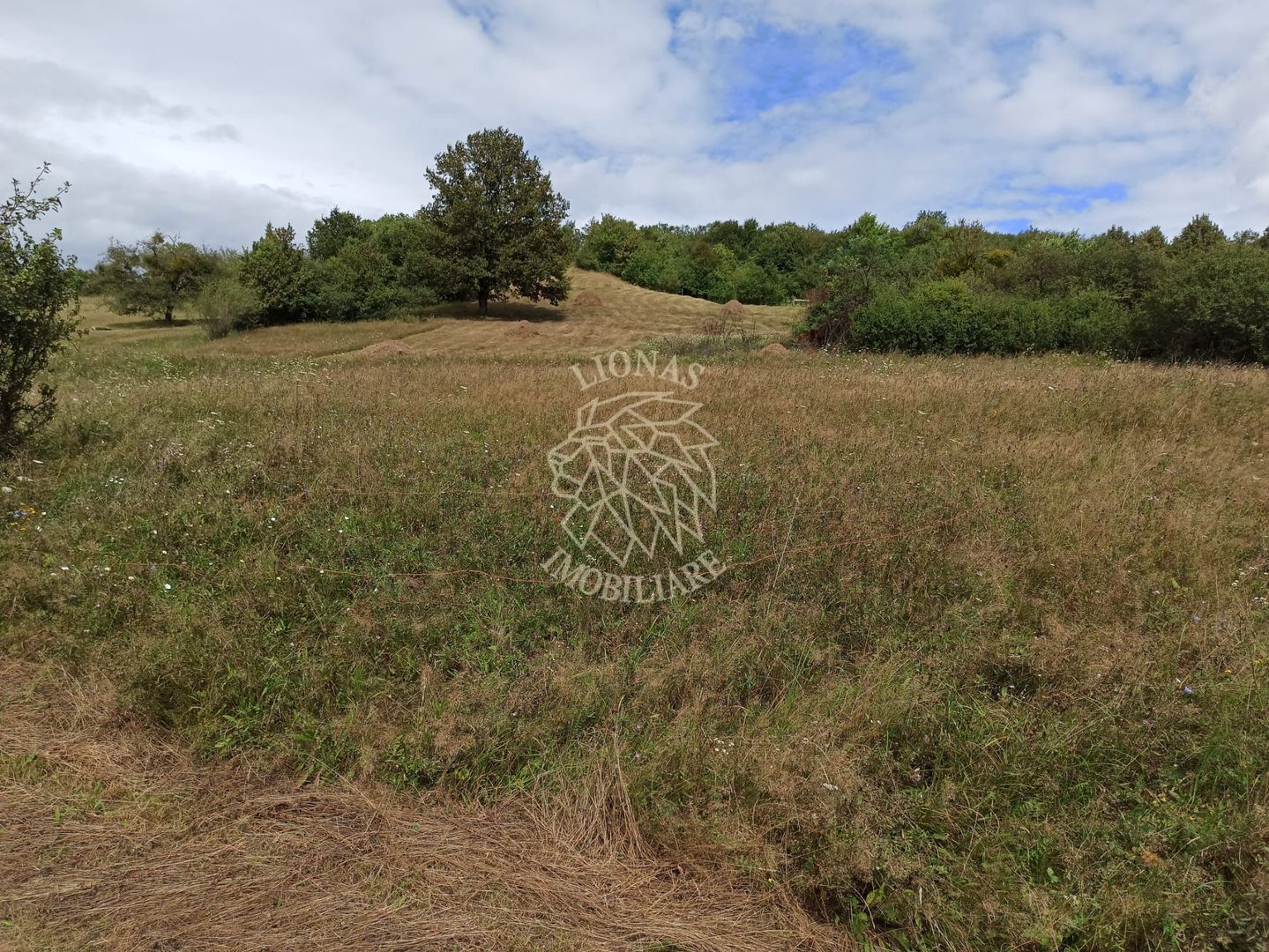 Teren 5200 mp-ideal cabane, case de vacante, agricultura-Livezile - Poză 2