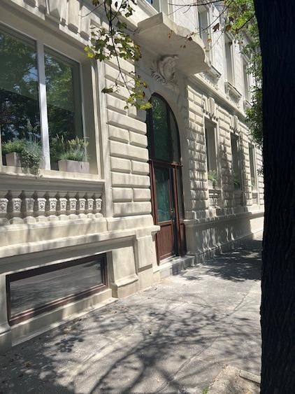 Vila reprezentativa Calea Grivitei/Calea Victoriei - Poză 2