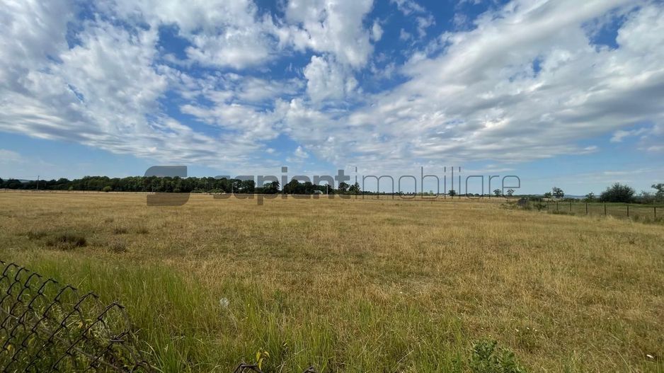 Teren Intravilan 1 ha – Acces Drum Asfalt | Ideal Rezidențial - Poză 2