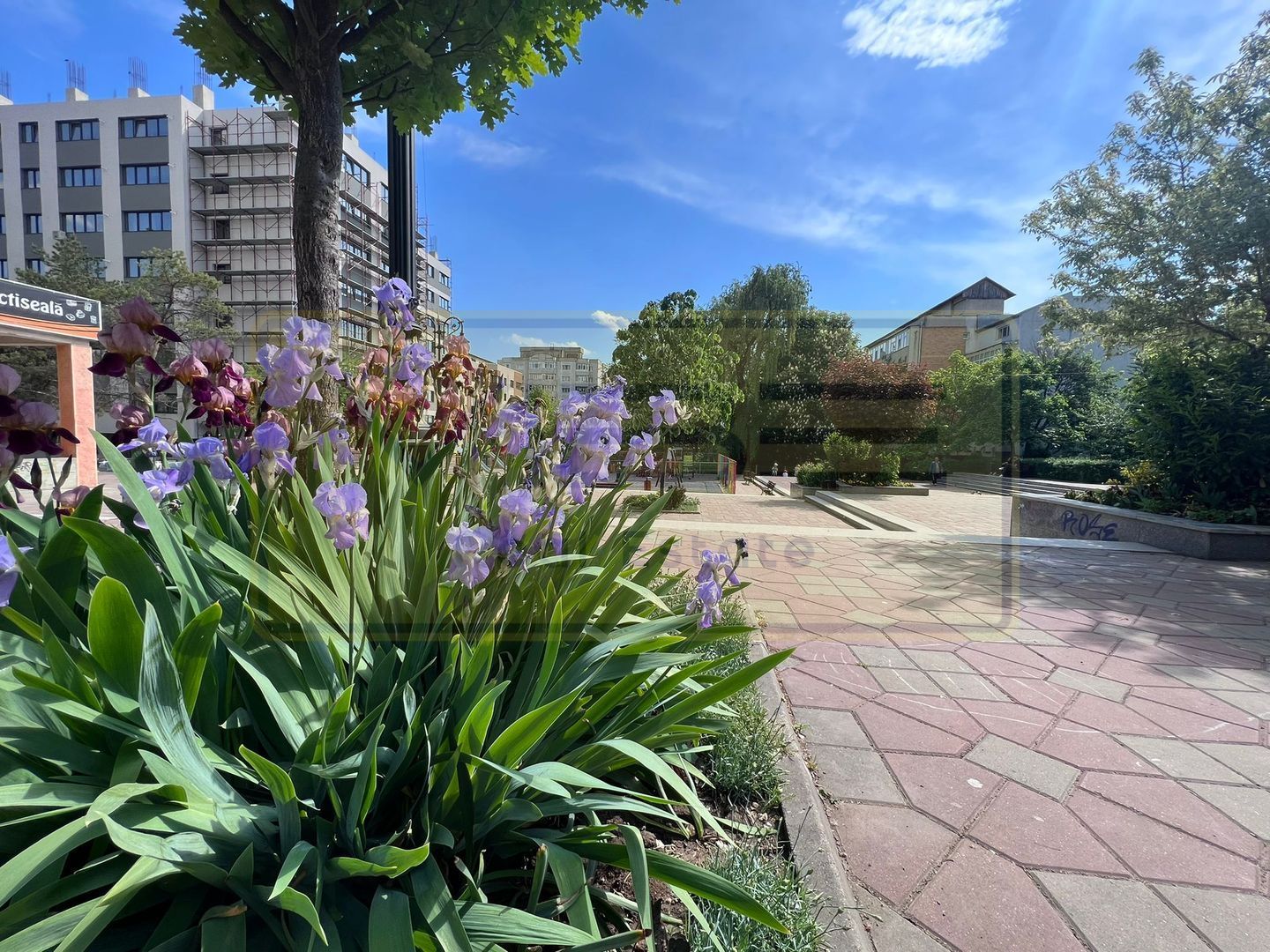 Apartament 3 camere premium Tatarasi Parcul Ciurchi - Poză 17