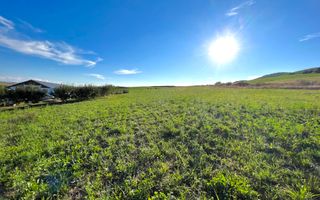 Ferma de vanzare cu 550MP utili si 27.500MP teren la asfalt - Poză 22