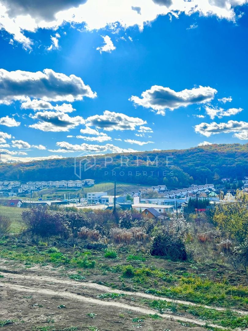 Teren cu potențial multiplu de dezvoltare – Corunca, E60, 10.000 mp - Poză 1