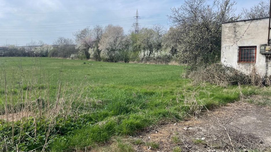 Teren intravilan 8500 mp in Iosia, Oradea - Poză 3