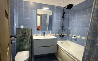 3 camere open space, Marasti, Dorobantilor, Lidl, OMV, Pet Friendly - Poză 6