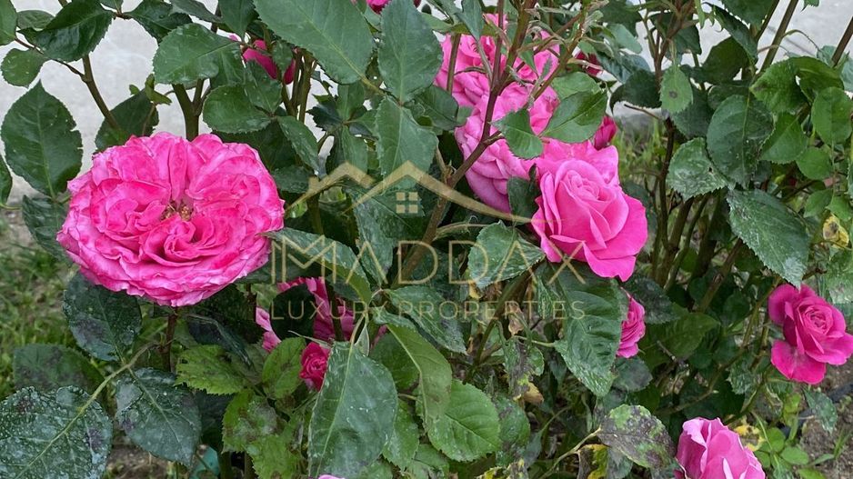 Vila Paradisul Verde ,  vedere  spre lac  **** curte 700 mp - Poză 9