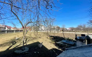 CASA RENOVATA + TEREN 3100 MP | CURTE SI GRADINA | FRATAUTII NOI - Poză 22