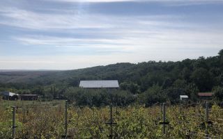 Casă de vânzare în Iepureni, Movileni, Iași - 160 mp, teren 900 mp - Poză 3