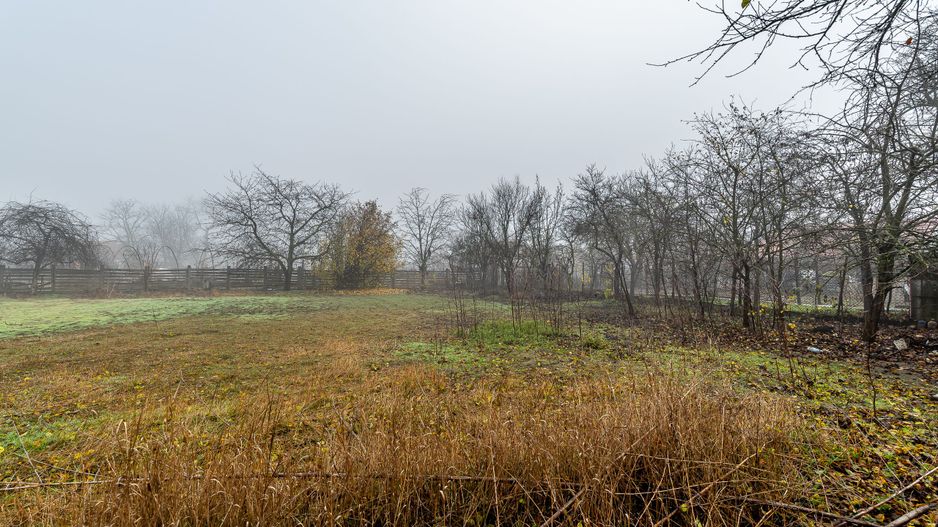 De vânzare Casă cu Grădină Generoasă in Dorobanți - Poză 3