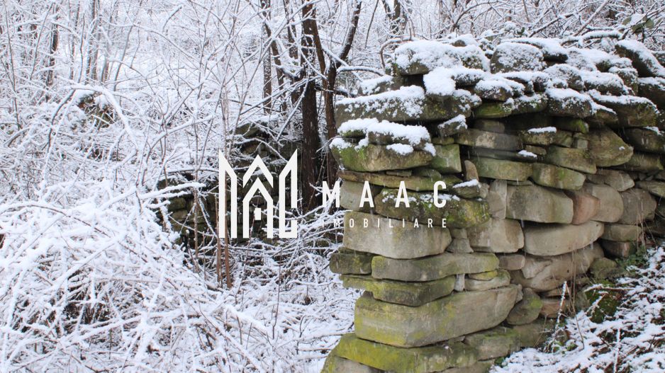 Teren cu izvor de apă minerală  Dangești, Punctul Valea Mare - Poză 26