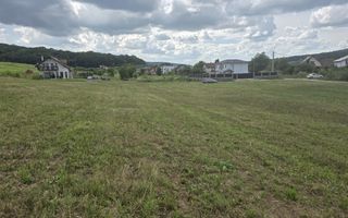 Teren intravilan 18.600 mp.cu deschidere de 250 m la drum - Poză 2