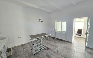 Casa de inchiriat in Vladimirescu (pretabil pentru Birou,Cabinet etc.) - Poză 15