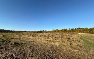 Teren intravilan | Horodnic de Sus – zona Tecioara | 2.900 mp - Poză 1