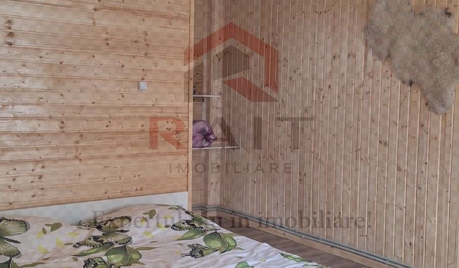 Casa Vacanta Rucar Saticu de Jos Arges - Poză 22