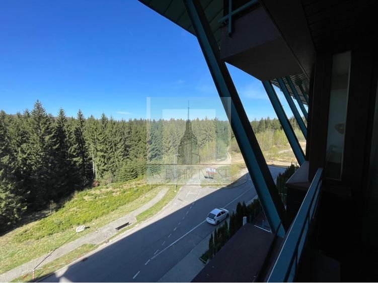 Apartament 2 camere/ Silver Mountain Resort & Spa - Poză 16