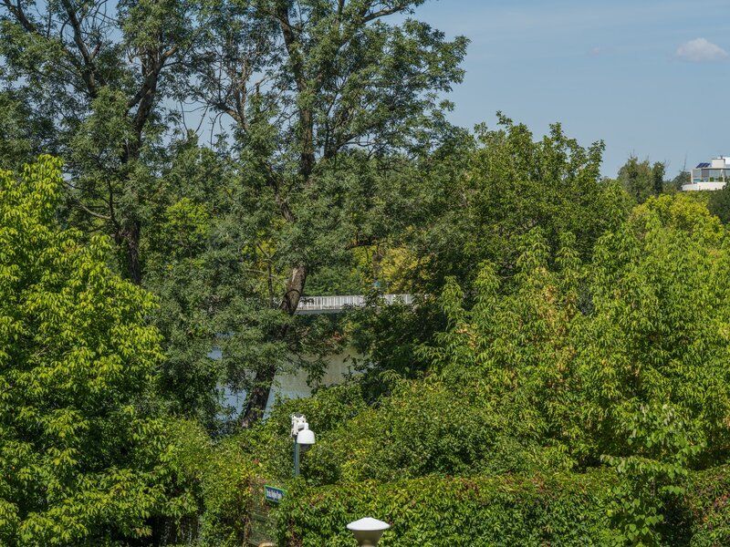 Apartament superb 5 camere I Zona Primaverii I View parc - Poză 6