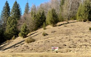 Teren intravilan langa Poiana Brașov, 52 mp front strdal, Utilitati in zona - Poză 1