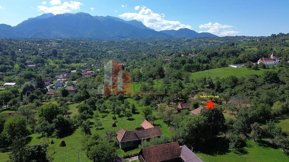 Teren 4558 mp cu casă tradițională, Sohodol, Bran - Poză 5