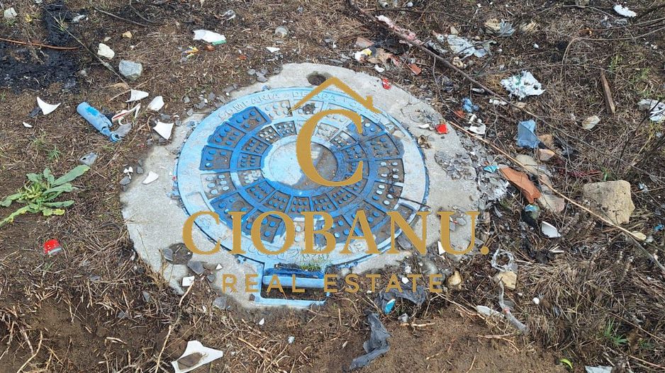 Teren de vanzare in Craiova zona Cernele - Poză 12